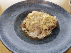 猪排窝蛋盖浇饭-犀牛家猪排