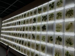 -广东中医药博物馆