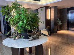 -珠海棕泉酒店(拱北口岸高铁站店)