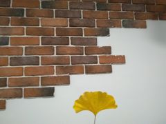 -李先生的首尔小馆(松江启源广场店)