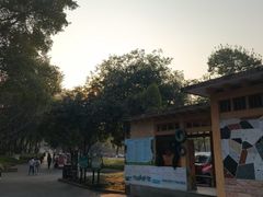 -柳州市动物园
