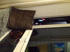 东直门智选假日酒店-北京东直门智选假日酒店