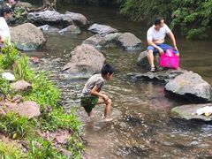 -重庆彩云湖湿地公园