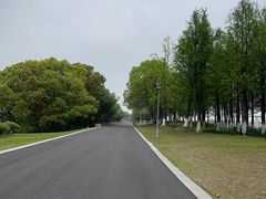 -江滩湿地公园