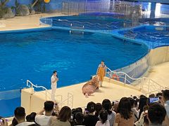 -泉城欧乐堡海洋极地世界