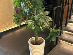 -新紫霞养生·影院足道·SPA(金山区店)