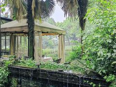 -野蔓果·山野菜(西湖景区·龙井茶田店)