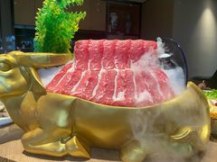 -尚海豆捞(乐虹坊店)