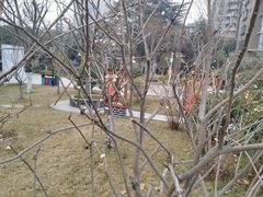 -西安市长乐公园