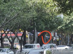 -蓉小乔·RONG COFFEE(福田店)