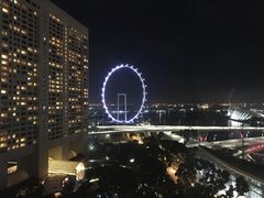 -新加坡文华东方酒店