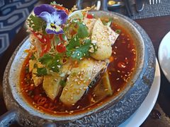 口水鸡-巴黎轩(澳门巴黎人店)