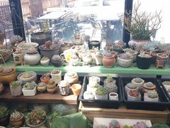 -北马山庄植趣咖啡