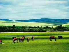 -北极村旅游风景区