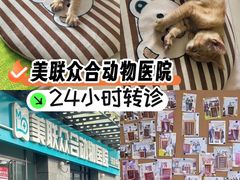 -美联众合动物医院·24h转诊中心