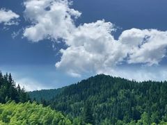 -芦芽山旅游度假区