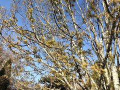 -四川大学(华西校区)