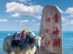 -青海湖国家重点风景名胜区