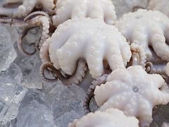 -铭聚章鱼土笋冻(松柏店)