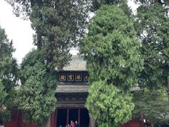 -报恩寺(平武县)