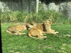 -北京野生动物园