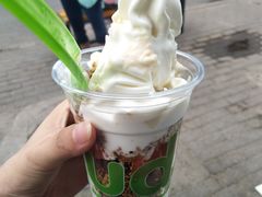 -Salud撒露欧洲冻酸奶(798艺术区店)
