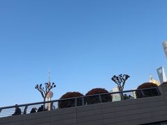 -黄浦江游览(十六铺码头)