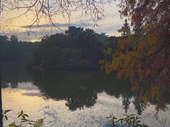 -深圳仙湖植物园