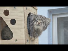 -青藏高原野生动物园