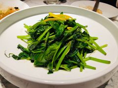 清炒豌豆苗-奉天小馆·非遗东北菜(济南万象城店)