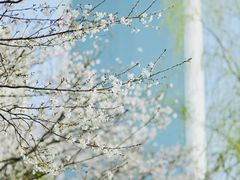 -西北湖绿化广场