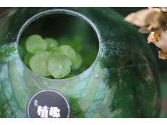 -北马山庄植趣咖啡