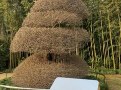 -苏州河梦清园环保主题公园