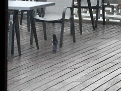 -湖畔居茶楼(湖滨店)