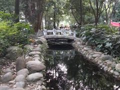 -成都市活水公园