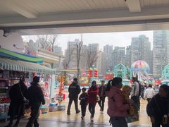 -海合安成都极地海洋公园