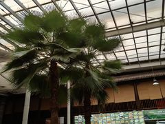 -龙达温泉生态城