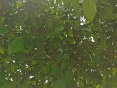 -长广溪湿地公园