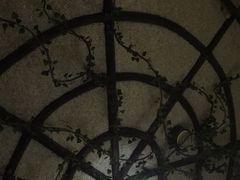 -御池园(顾村公园店)