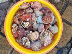 -北方饺子王·海肠捞饭·海鲜锅(山大店)