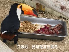 -上海野生动物园