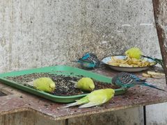 -昆明动物园