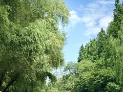 -同里国家湿地公园