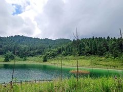 -武陵山森林公园