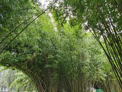 -金银湖国家城市湿地公园