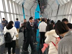 -上海环球金融中心云端足球盛典