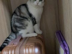 -北京恒爱动物医院(清景园分院)