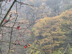 -终南山南五台景区