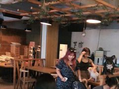 大堂-萌喵咖啡屋(人民东路4号口M16商铺店)