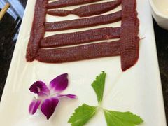 -绵阳森林雨鸭肠王火锅城(丽景花城店)